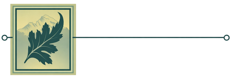Mountain Dental Arts